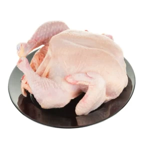Tandoori Chicken